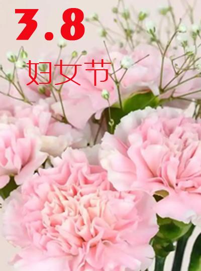 三八女神节快乐